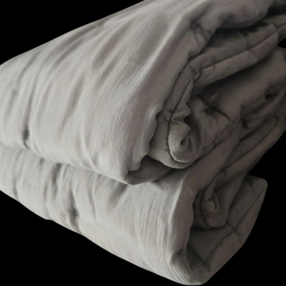 Two RH Restoration‎ Hardware Tufted Silk Fog Gray King Pillow Shams